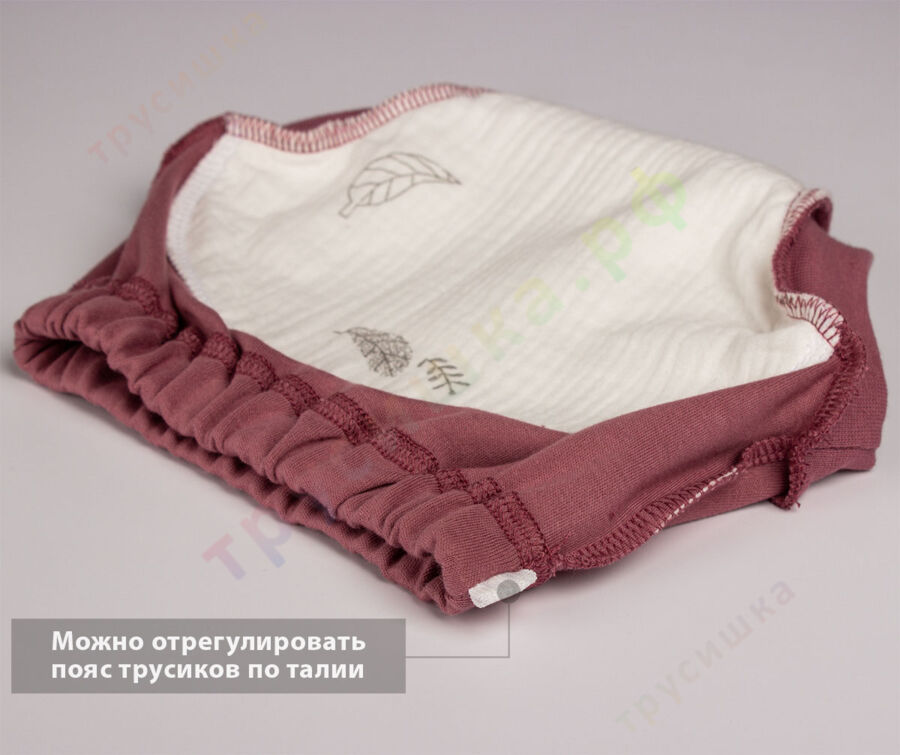 Трусики Трусишка Fly Чайная роза бежевый ежевика (комплект 3 шт)